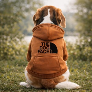 May include: A brown dog wearing a brown hoodie with the text "THE DOG FACE" in black. The dog is sitting on green grass with a blurred background of trees and water.