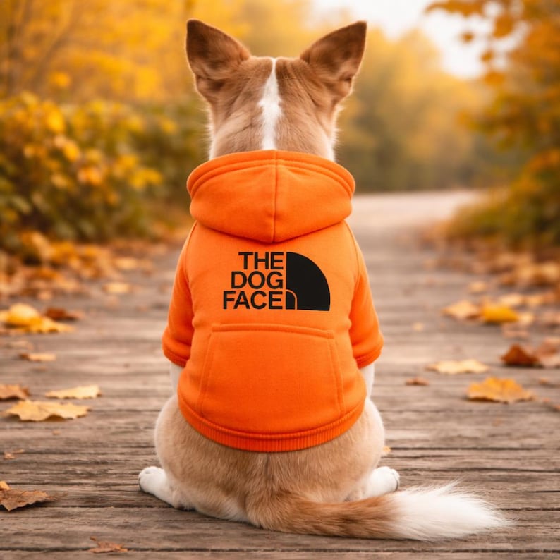 May include: A dog wearing an orange hoodie with the text "THE DOG FACE" in black. The dog is sitting on a wooden path with fall foliage in the background. The hoodie has a black logo on the back.