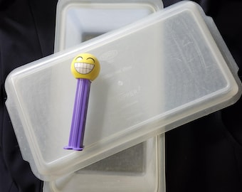 Vintage 1960's-70's Tupperware Bread Loaf Keeper Storage Clear Opaque White Container 172, Lid 171