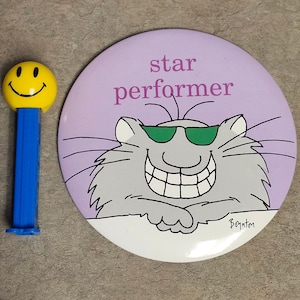 May include: A purple and white button with a cartoon gray hamster wearing sunglasses and a toothy grin. The button says "star performer" and is signed "Baynton".