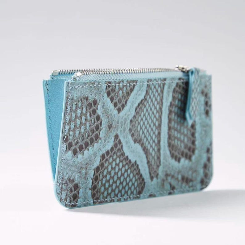 Puede incluir: Una cartera peque&ntilde;a y rectangular con cierre de cremallera. La cartera presenta un estampado de piel de serpiente en tonos azules y grises. El interior es de color azul claro liso. La cremallera es plateada.