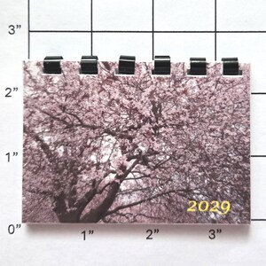 May include: A small calendar featuring a pink flowering tree image. The calendar is approximately 3 inches wide and 2 inches tall, with black binding at the top. The year "2029" is printed in gold at the bottom.