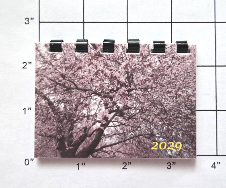 May include: A small calendar featuring a pink flowering tree image. The calendar is approximately 3 inches wide and 2 inches tall, with black binding at the top. The year "2029" is printed in gold at the bottom.