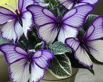 May include: A potted plant with artificial butterfly decorations. The butterflies have purple and white wings with intricate vein details. The pot is a light beige color and has vertical ridges.