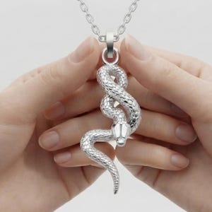 Op de afbeelding: Een zilverkleurige slangen hanger aan een bijpassende zilverkleurige ketting. De hanger heeft een ontwerp van een kronkelende slang met een textuur van schubben en een gladde kop, verticaal hangend aan een metalen oogje aan de bovenzijde.