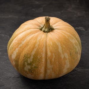 La Estrella F1 tropical pumpkin - whole squash on dark slate - F1 hybrid moschata seeds from Kansas