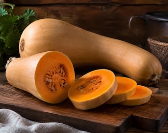 Tahitian Melon Squash Seeds, Giant Pacific Heirloom Moschata, 10-20 Seeds