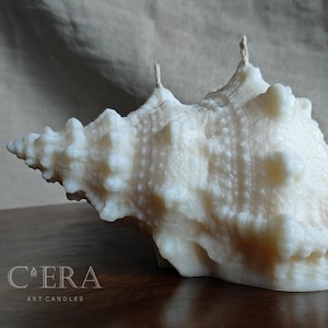 May include: An off-white, shell-shaped wax candle with a textured, bumpy surface and two wicks protruding from the top. The candle features the text C'ERA ART CANDLES printed in white on the lower left side of the object's base area.