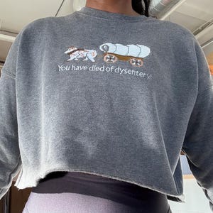 May include: A charcoal gray cropped sweatshirt featuring an embroidered pixel-art graphic of a covered wagon pulled by oxen. Below the graphic, the text "You have died of dysentery" is embroidered in white thread. The garment has long sleeves.