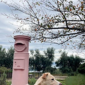 May include: A light pink vintage mailbox with the word "POST" on it stands in a garden. A tan dog with a brown collar is in front of the mailbox. Bare tree branches with a few leaves are above the mailbox.