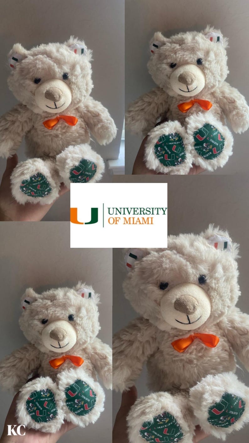 Custom College Rabbits / Bear (ANY School / Team) - Etsy