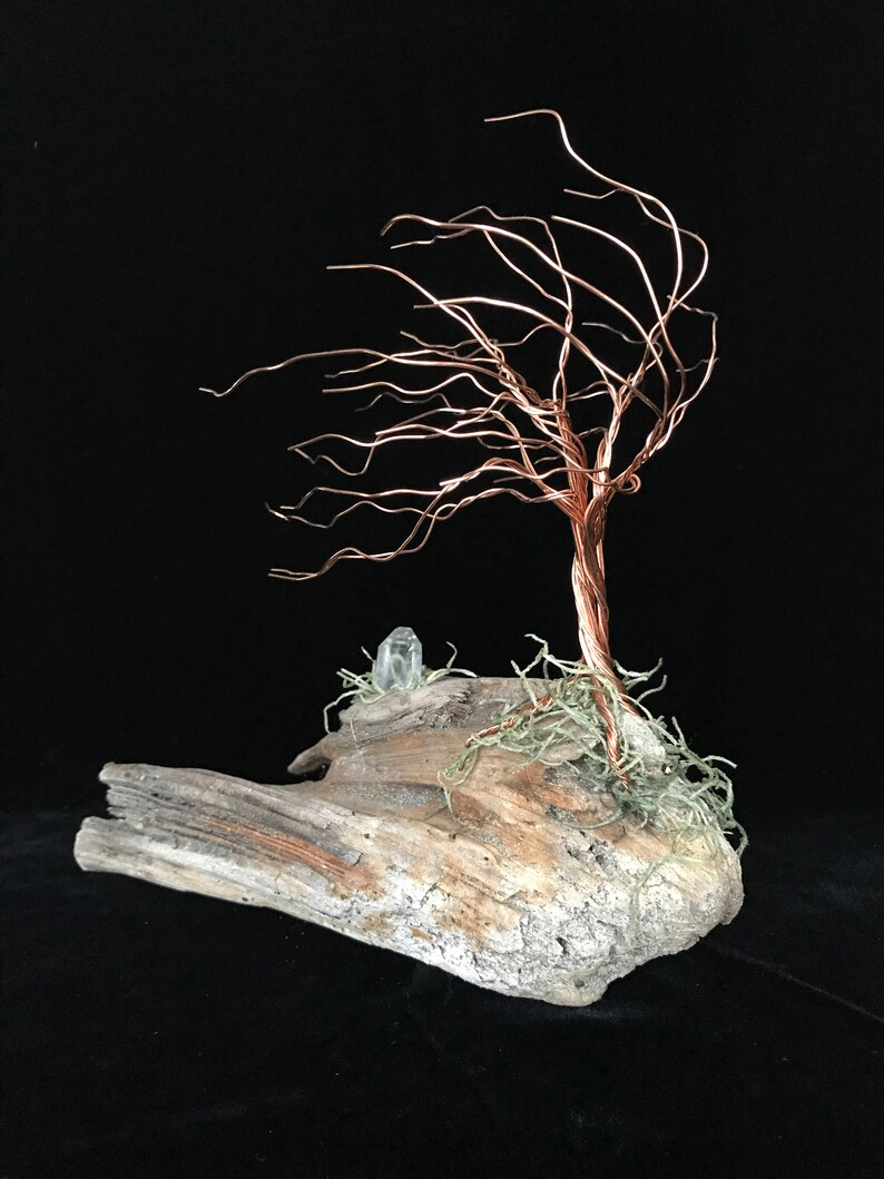 Wind Blown Copper Wire Tree on Humboldt Coast Driftwood With Etsy