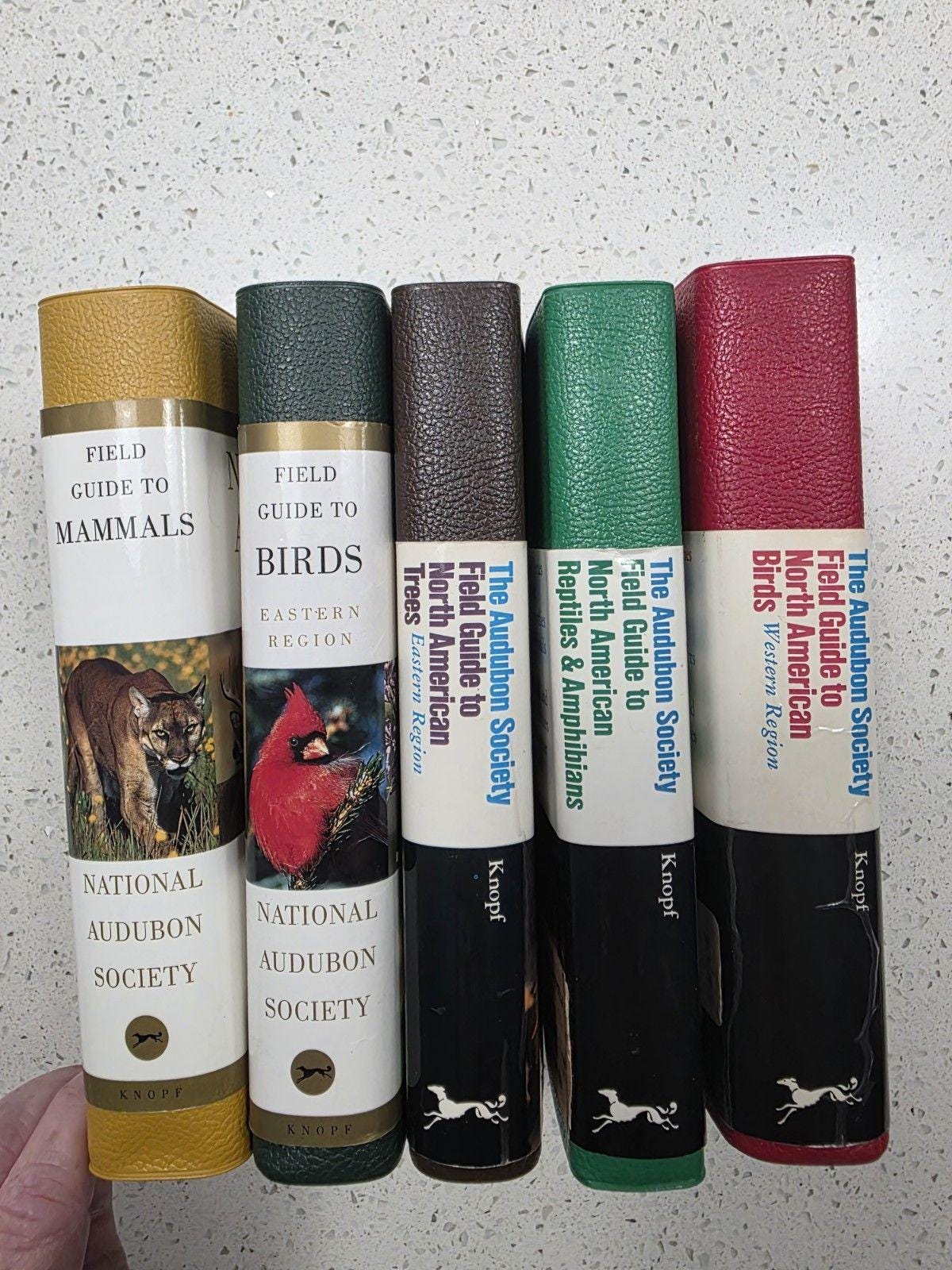 National Audubon Society Field Guide - Etsy
