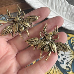 Può includere: Due ornamenti a forma di scarabeo color ottone. Ogni insetto ha ali, zampe e una testa dettagliate con protuberanze simili a corna. Gli ornamenti sono tenuti in mano, mostrando le loro dimensioni e il design intricato.