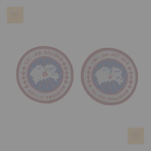 May include: Two circular patches featuring a light blue and white map design, encircled by a red border and text. The text reads "CANADA GOOSE" and "ARCTIC PROGRAM".