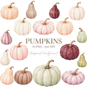 Könnte beinhalten: Eine Sammlung von Kürbissen im Aquarellstil in verschiedenen Formen, Größen und gedeckten Farben wie Creme, zartem Rosa, Salbeigrün und tiefem Burgunderrot. Der Text PUMPKINS 87 PNG 300 DPI transparent background ist mittig platziert.