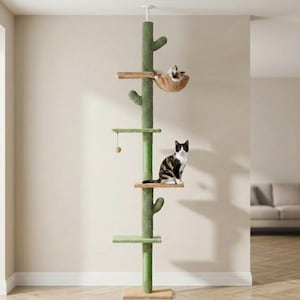 May include: A green cat tree with multiple platforms, a hanging basket, and a dangling toy. Two cats are using the tree. One cat is in the basket, and the other is sitting on a platform. The tree is against a neutral wall.