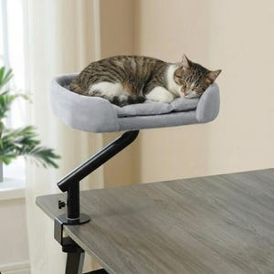Puede incluir: Un gato gris descansa sobre una cama gris para gatos sujeta a un brazo ajustable negro. La cama para gatos está montada en un escritorio, proporcionando un espacio elevado y cómodo para que el gato se relaje. El gato tiene pelaje marrón y blanco.
