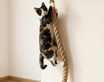 Cat Climbing Rope with Solid Wood Bracket, Wall Mounted 55in Jute Rope Cat Ladder, Space Saving Cat Playground Scratcher, Cat Shelves
