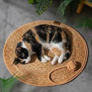 May include: A calico cat rests on a round, woven cat bed. The bed is made of natural fibers and features a knotted toy attached by a rope. The cat's fur is a mix of black, orange, and white.