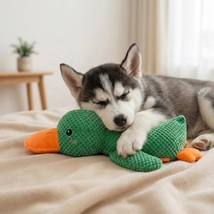 Kalmerend hondenspeelgoed eend – piepend interactief hondenspeelgoed voor het reinigen van tanden, duurzaam en kauwers, bijtbestendig en zacht speelgoed (klein, medium, groot)