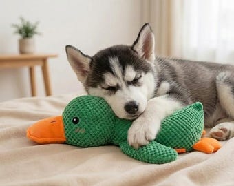 Kalmerend hondenspeelgoed eend – piepend interactief hondenspeelgoed voor het reinigen van tanden, duurzaam en kauwers, bijtbestendig en zacht speelgoed (klein, medium, groot)