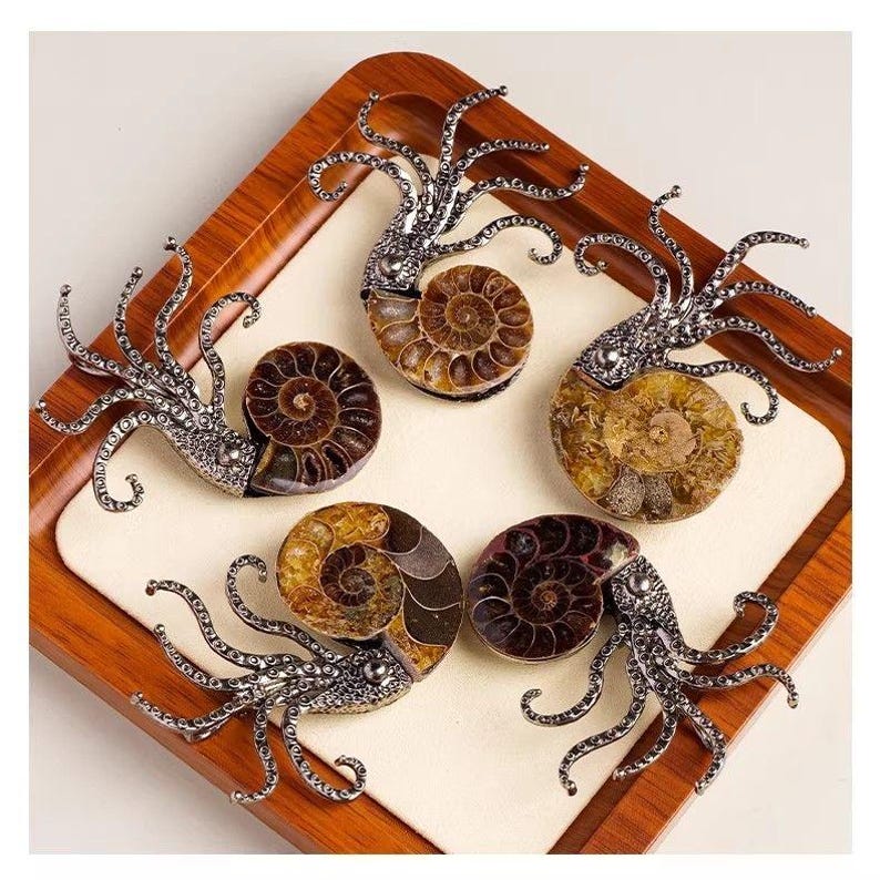 Op de afbeelding: Vier decoratieve ornamenten in de vorm van koppotigen met metallic zilverkleurige koppen en tentakels bevestigd aan spiraalvormige bruine en amberkleurige ammonietfossielen. Elk stuk heeft een gestructureerde, gedetailleerde metalen kop.
