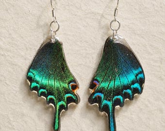 Oorbellen met echte vlindervleugels, iriserende groene hangende oorbellen, oorhaakjes van 925 zilver, Fairycore cadeau voor natuurliefhebbers