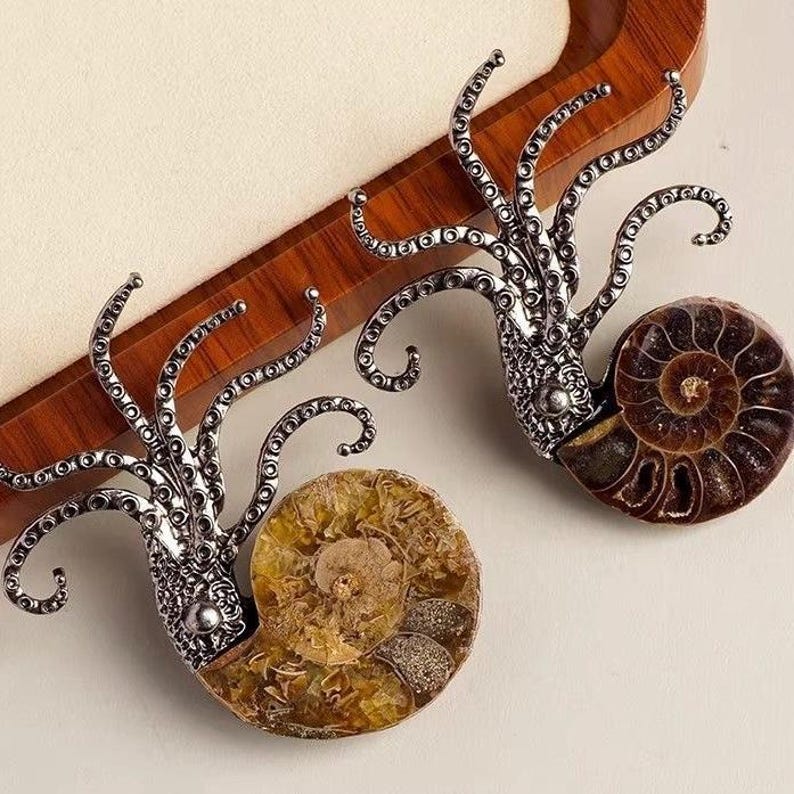 Op de afbeelding: Twee decoratieve broches met zilverkleurige metalen inktviskoppen met gedetailleerde tentakels bevestigd aan spiraalvormige versteende ammonietschelpen. De ene schelp is doorschijnend goudgeel, de andere is diepbruin van kleur.