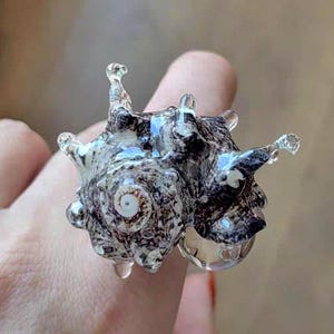 May include: A ring featuring a natural, dark brown and white patterned seashell as the centerpiece. The shell is encased in clear, glossy glass that extends into several pointed, translucent protrusions, creating a textured, organic appearance.