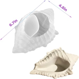 Può includere: Ciotola a forma di conchiglia in ceramica bianco sporco, lunga 17 cm e larga 12 cm. La ciotola ha una superficie strutturata e una grande apertura. Una seconda conchiglia più chiara è mostrata sopra.