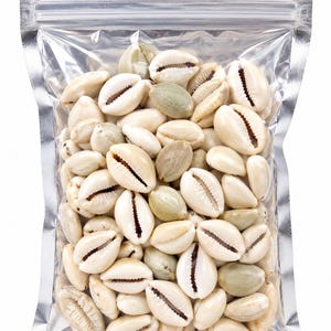 10 Pieces - Nigeria Original Natural Cowries Sea Shell - Aje Olokun
