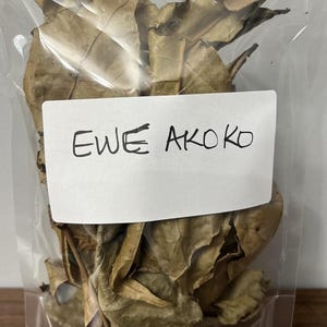 Può includere: Un sacchetto di plastica trasparente pieno di foglie marroni essiccate. Un'etichetta bianca con il testo scritto a mano "EWE AKOKO" è attaccata. Le foglie hanno un aspetto secco e strutturato.