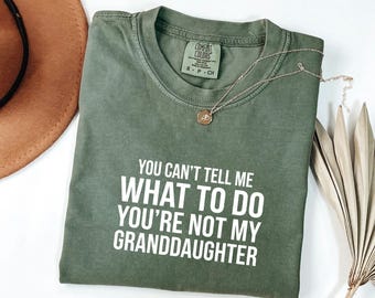 Sarcastic Quote Tee, Retirement Gift For Papa, Funny Grandpa Tshirt, Fathers Day Present Pops, Not My Granddaughter Tshirt