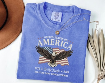 Vintage We The People Tee, 1776 Heritage Apparel, America 250th Anniversary Shirt, Patriotic Eagle Flag Outfit, July 4th Gift For Men