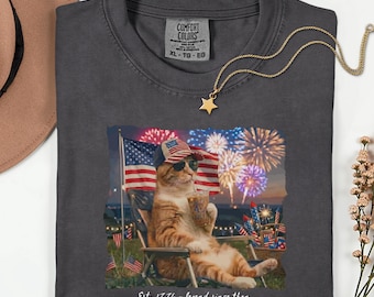 Patriotic Cat Shirt, Funny Firework Tee, Retro American Flag Kitten, July Picnic Gift, Vintage Summer Pet Lover Top