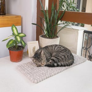 May include: A sleeping tabby cat curled up on a light gray, rectangular pet bed. The bed has a woven texture. The cat is resting near potted plants and a framed picture on a white surface.