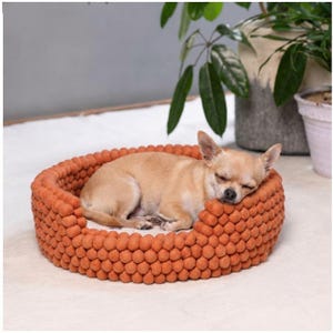 May include: A small tan dog with short fur is curled up and sleeping inside a round pet bed. The bed features a textured exterior made of numerous small, spherical orange felt balls arranged in a dense pattern, with a smooth, light-colored interior.