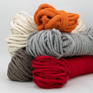 May include: A stack of five different colored yarn skeins. The skeins are made of thick, chunky yarn and are in the colors white, gray, brown, red, and orange.
