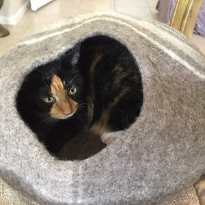 May include: A gray and white felt cat bed with a cat inside. The cat is black, brown, and white with green eyes.