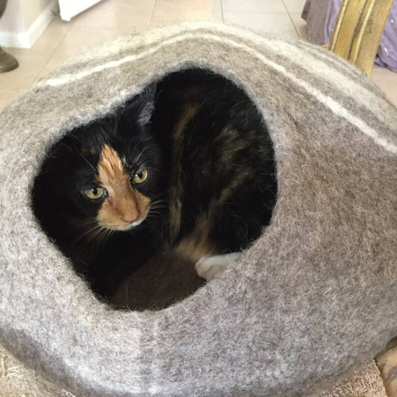 May include: A gray and white felt cat bed with a cat inside. The cat is black, brown, and white with green eyes.
