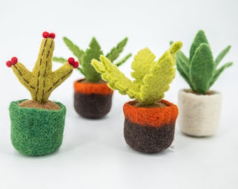 20 Pieces Wool Felt Succulent, Mini Plants, Indoor Plants, Handmade Plant For Home and Table Decor, : Fair Trade and Ethically Made