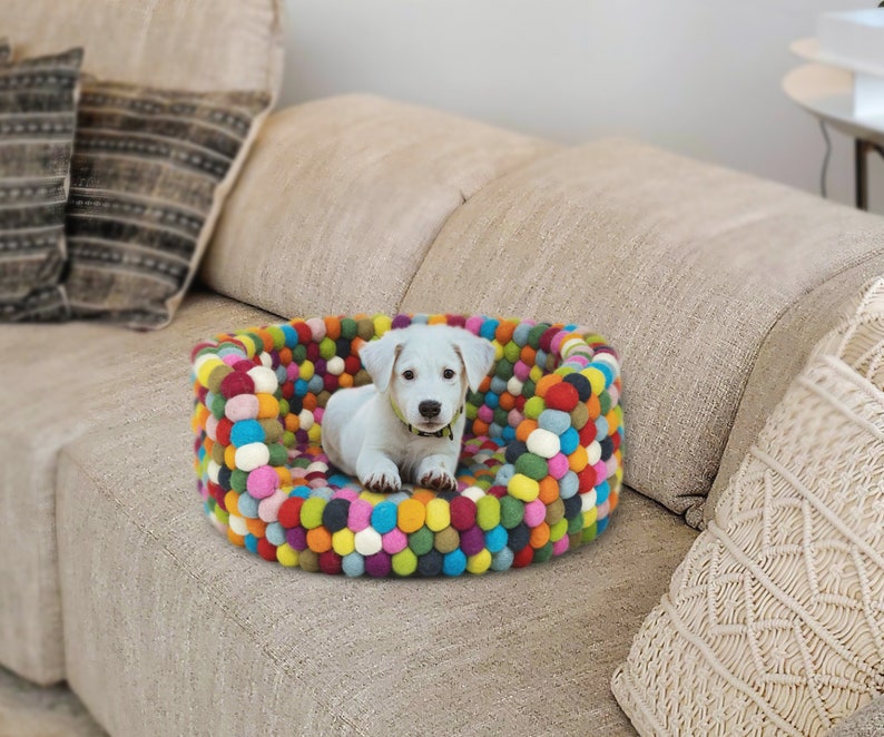 Pu&ograve; includere: Un cane bianco con macchie nere siede in un letto rotondo colorato per animali domestici fatto di palline di feltro. Il letto &egrave; su un divano marrone chiaro.