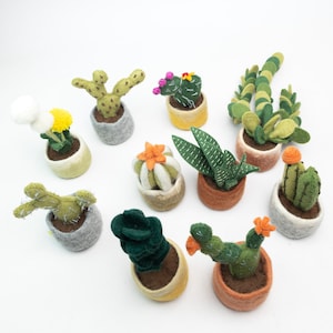 Puede incluir: Una colección de cactus y suculentas de fieltro hechos a mano en varias formas y colores. Las plantas en miniatura están en macetas pequeñas de diferentes colores, incluyendo gris, marrón, amarillo y naranja. Algunas tienen pequeñas flores de fieltro.