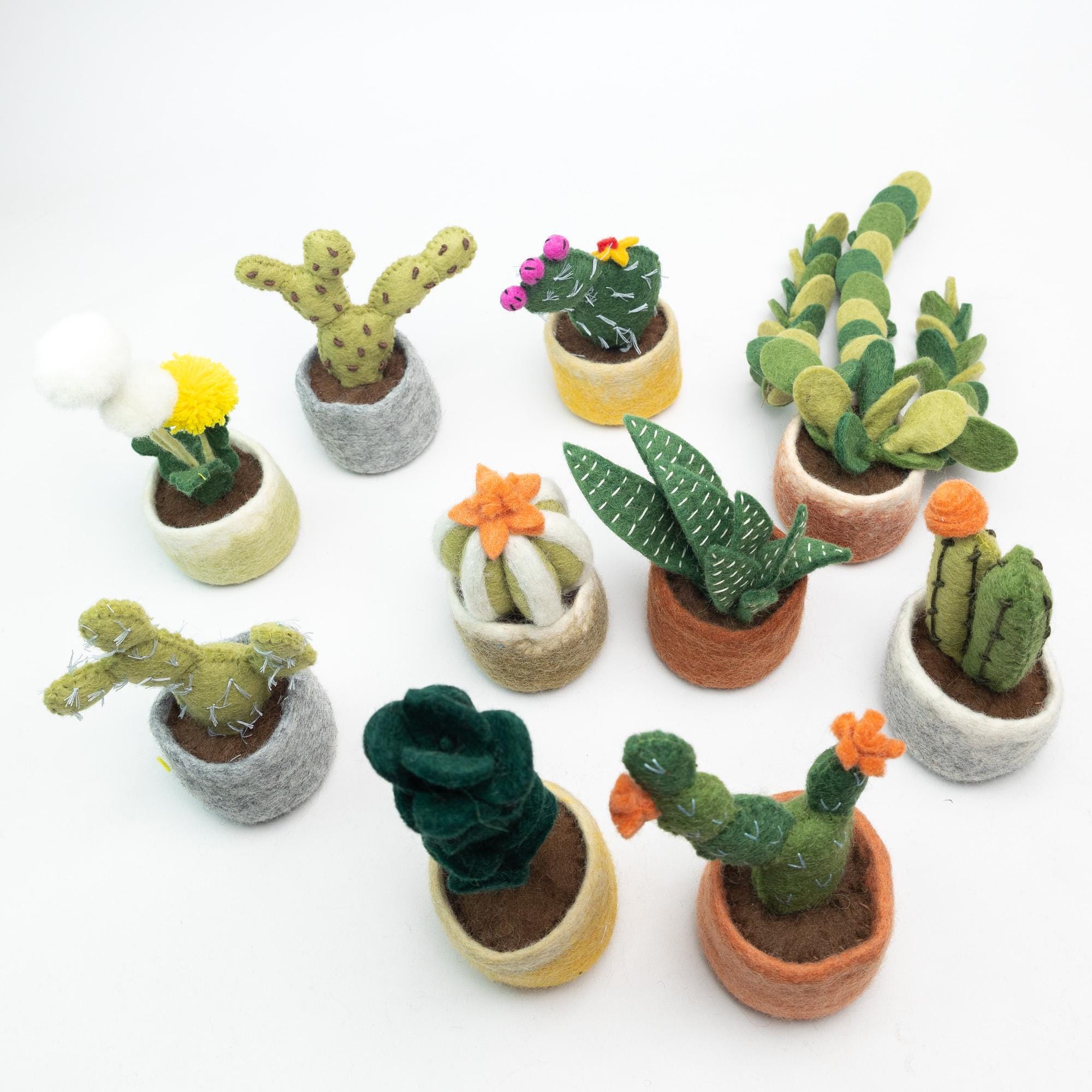Fake Succulents Bulk - Etsy