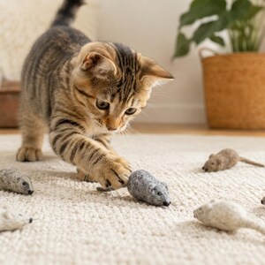 May include: A brown tabby kitten playing with several small, felted wool mouse toys. The toys are various shades of gray, white, and brown, each featuring a pointed nose, small ears, and a thin tail, scattered across a textured off-white surface.