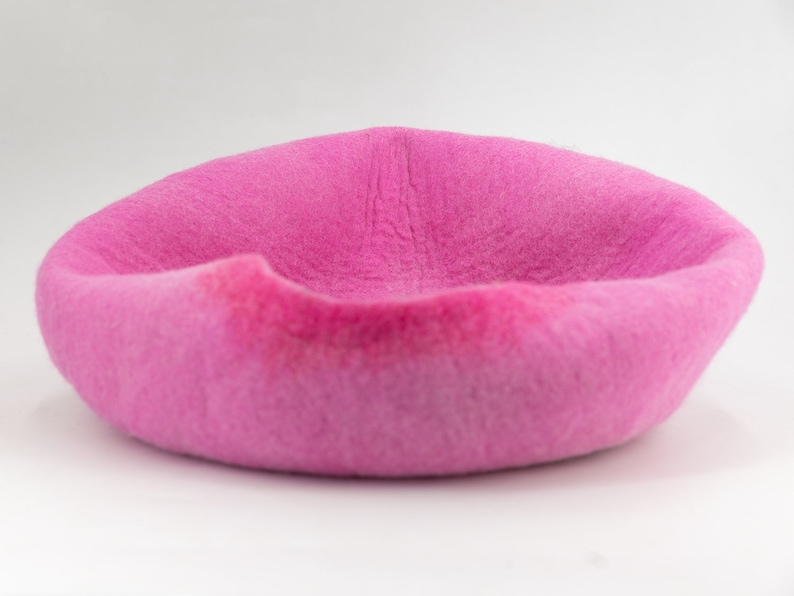 May include: A pink, fuzzy, round pet bed.