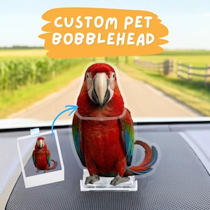 Könnte beinhalten: Ein individueller Tier-Wackelkopf eines roten, blauen und grünen Aras. Der Wackelkopf steht auf einer durchsichtigen Kunststoffbasis. Das Bild enthält auch ein kleines Foto des Papageis und den Text "CUSTOM PET BOBBLEHEAD".