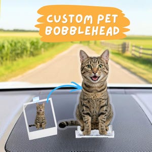 Puede incluir: Un muñeco cabezón personalizado de una mascota, un gato atigrado, se muestra en el salpicadero de un coche. El muñeco es una réplica del gato en una foto polaroid. El texto "CUSTOM PET BOBBLEHEAD" está en una pancarta amarilla encima del gato.