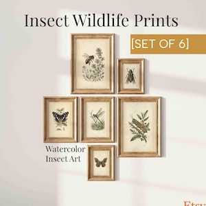 Vintage Insekt Wand Kunst Set von 6 druckbare, botanische Fehler Drucke Biene Schmetterling Libelle Käfer Motte Heuschrecke, digitaler Download